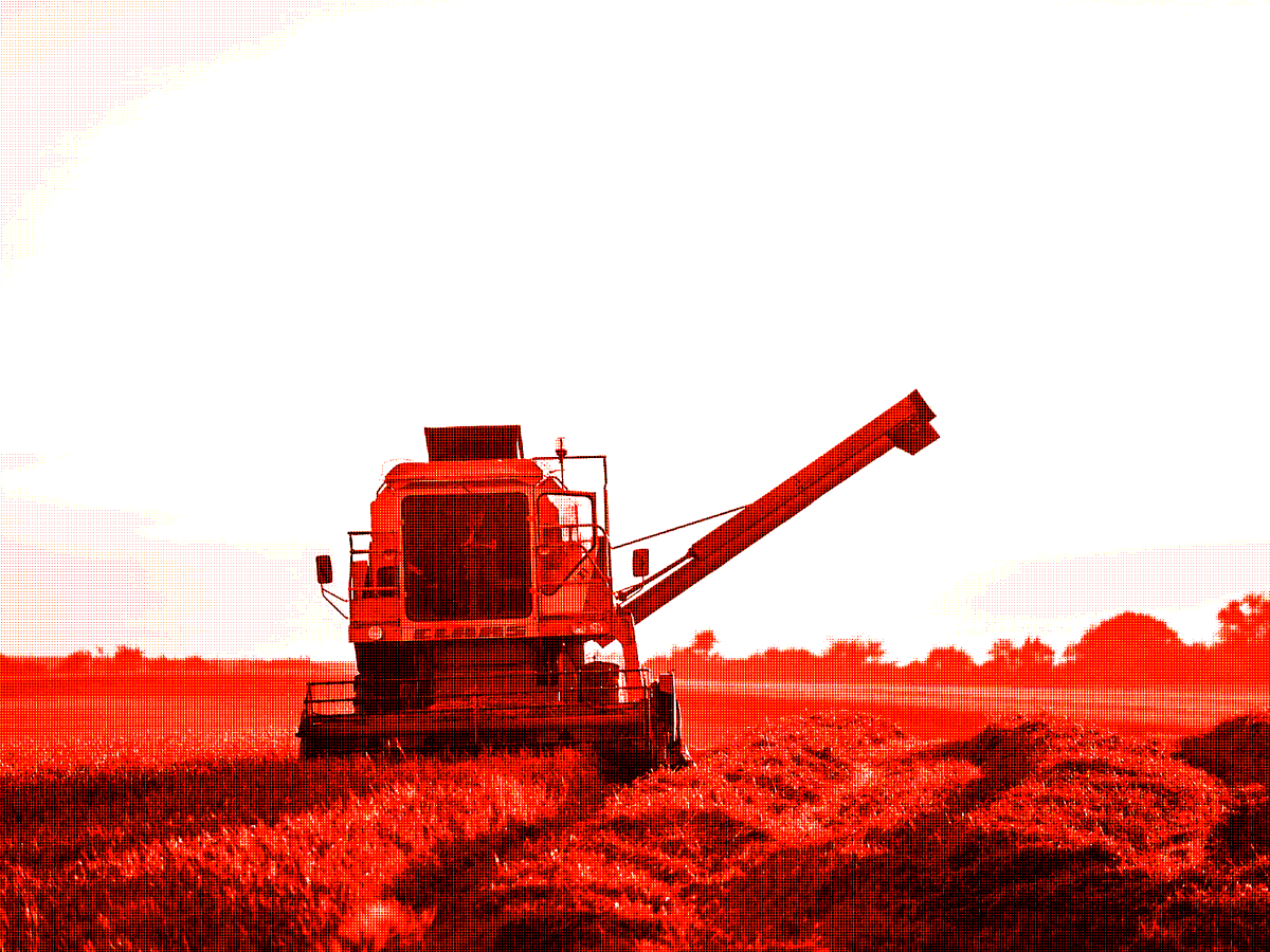 Pénurie alimentaire : ce que disent les prospectivistes