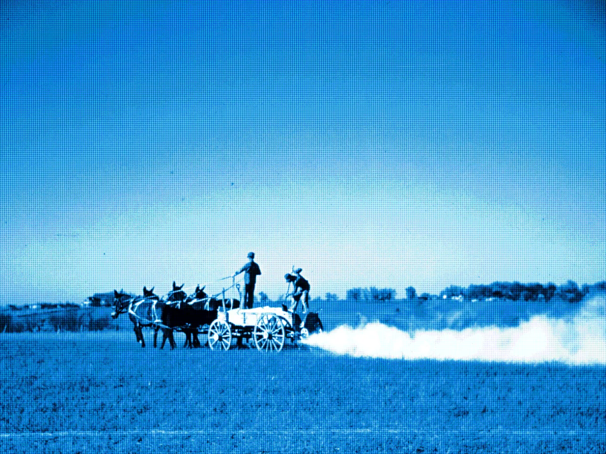 Cadmium : le scandale des engrais phosphatés, de la mine à l'assiette